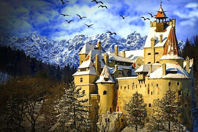 Private Day Trip to Transylvania: Dracula Castle, Royal Palace, Brasov Old Town - An In-Depth Look at the Itinerary