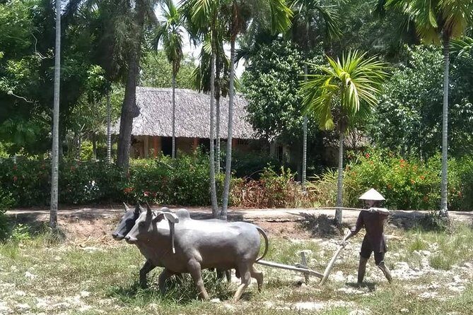 Private Day Trip To Visit MY LAI MASSACRE from Hoi an or Da Nang City - Who Is This Tour Best Suited For?