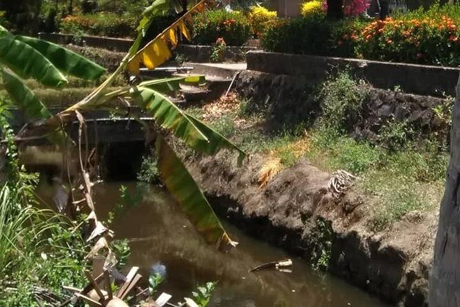 Private Day Trip To Visit MY LAI MASSACRE from Hoi an or Da Nang City - The Sum Up