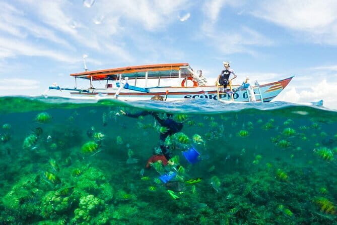Private Day Trip Tour To Secret Gilis - What to Expect from the Tour: An In-Depth Breakdown