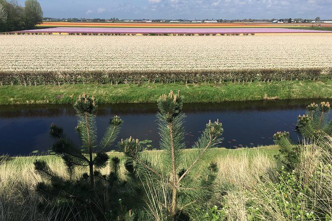 Private daytour from Amsterdam into the Countryside - FAQs
