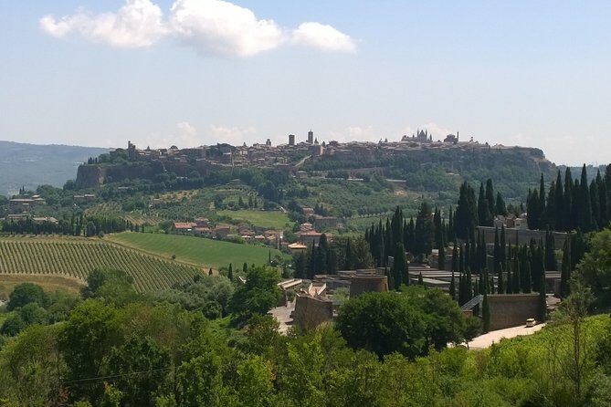 Private daytour Tuscany from Roma or Civitavecchia port - The Sum Up