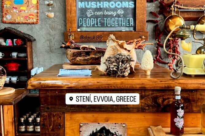 Private Daytrip for Truffle Mushroom Foraging and Wine Tasting - What Makes This Tour Stand Out?