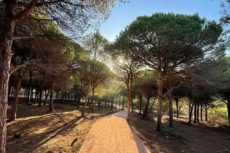 Private DayTrip from Cádiz to Tangier: All in one Experience - Who Is This Tour Best For?