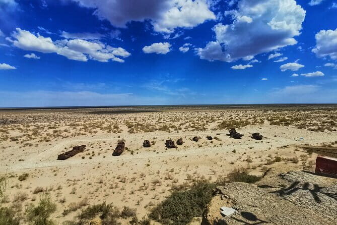 Private Daytrip to Muynak and Nukus - The Sum Up