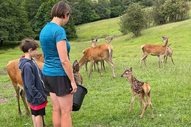 Private Deer Park Tour and Day Out in Leek - FAQ
