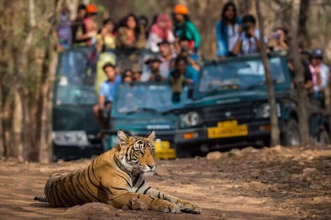 Private Delhi Agra Jaipur Multi Day Tour - Key Points
