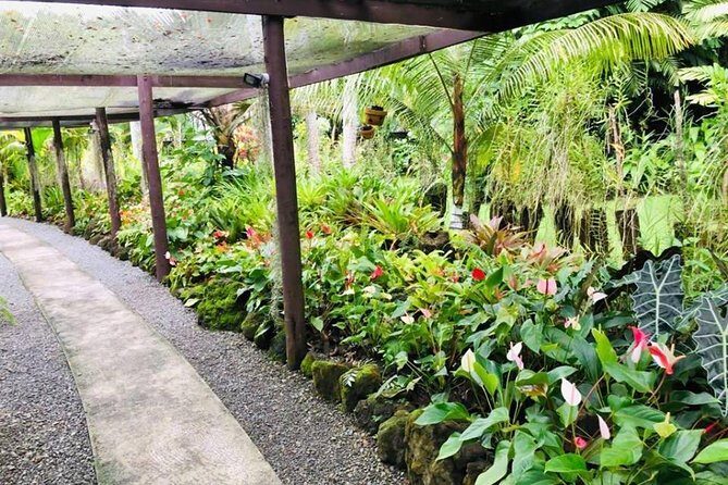 Private Denarau Shore Excursion - Temple, Shopping, Market, Garden & Mud Pool - An In-Depth Look at the Tour Itinerary