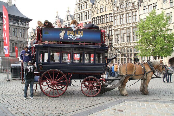 Private Departure Transfer from Antwerp to Brussels By luxury car - In-Depth Look at the Transfer Experience