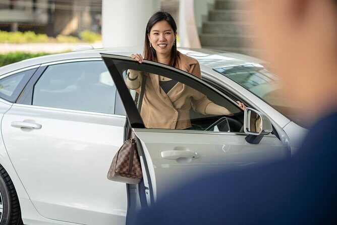 Private Departure Transfer: From Hotel in Hoian to Danang International Airport - The Complete Picture of the Hoi An to Danang Airport Transfer