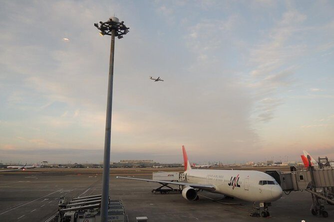 Private Departure Transfer : Tokyo Disney to Haneda International Airport - Final Thoughts: Who Should Consider This Service?