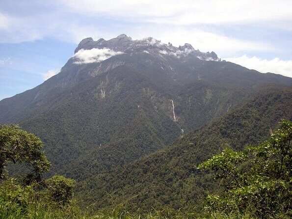 Private Desa Dairy Farm, Kinabalu National Park, Hot Spring & Canopy Walk Tour - An In-Depth Review of the Tour Experience
