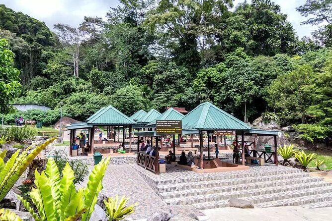 Private Desa Dairy Farm, Kinabalu National Park, Hot Spring & Canopy Walk Tour - Starting the Day: Pickup and First Stop at Desa Dairy Farm