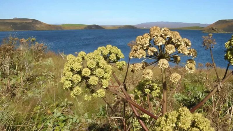 Private Diamond Circle Tour from Akureyri - FAQ