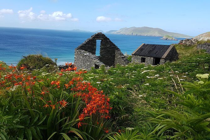 Private Dingle Peninsula Full-Day Tour - What’s Included and What’s Not?