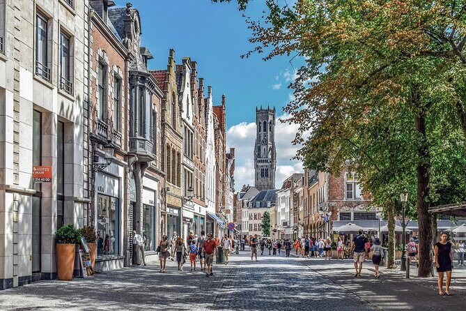 Private direct transfer from Amsterdam to Bruges - What Makes This Private Transfer Stand Out?
