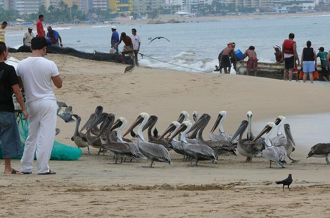 Private Direct Transfer From Mexico City to Acapulco - Final Thoughts