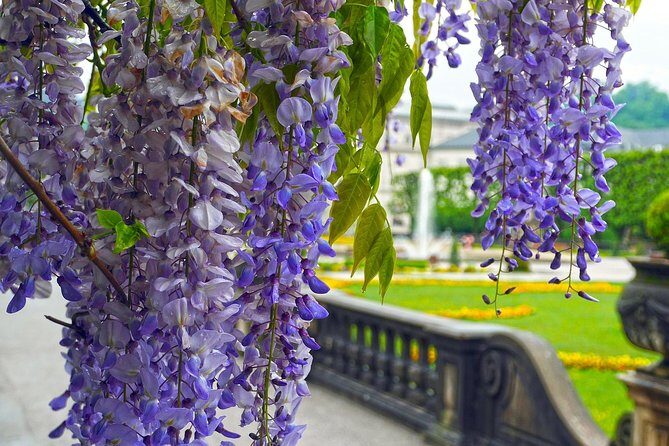 Private direct transfer from Munich Airport to Salzburg - Who Will Love This Service?