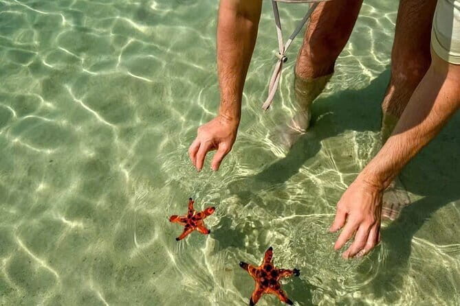 PRIVATE Discover Phu Quoc Local life and Starfish Beach & Lunch - Who Should Consider This Tour?