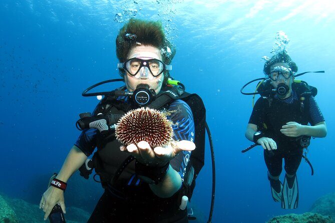 Private Discover scuba diving for beginners in Athens with pickup - FAQ