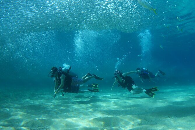 Private Dive Boat for Certified Divers - Cabo San Lucas - Additional Details and Practicalities