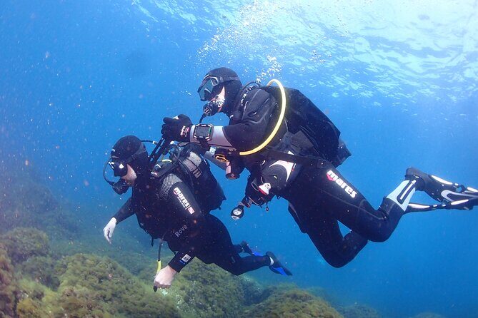 Private diving baptism in the Golf of Calvi - What to Expect from the Experience