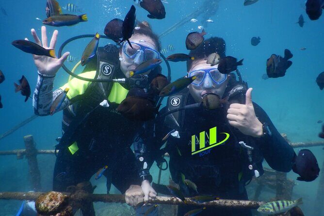 Private Diving Experience in Nusa Dua with Hotel Pick Up - Key Points