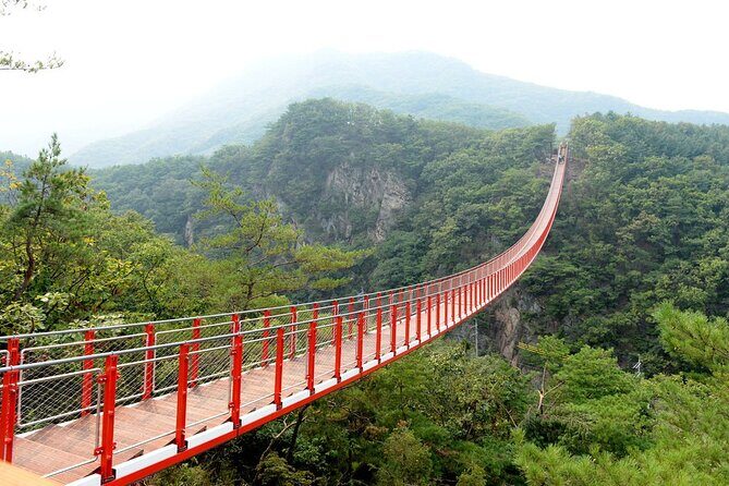 Private DMZ Peace Tour: 3rd Invasion Tunnel and Suspension Bridge - An In-Depth Look at the Itinerary