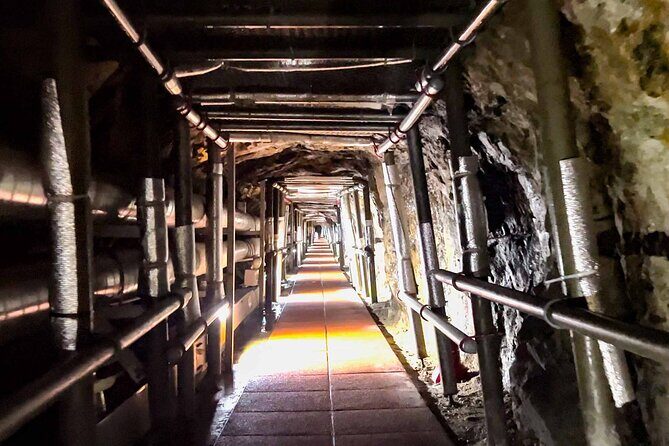 Private DMZ tour(Tunnel / Observation) with hotel pick up - The Transport & Comfort