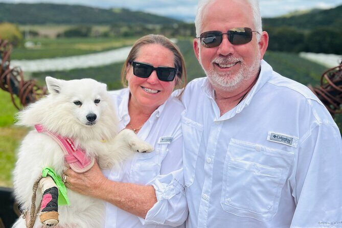 Private Dog Friendly Wine Tour with your Local Guide - How About the Cost?
