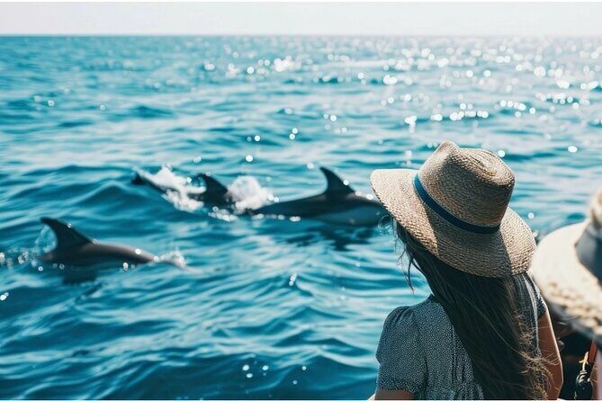 Private Dolphin Cruise in Panama City Beach - Exploring the Private Dolphin Cruise: What to Expect