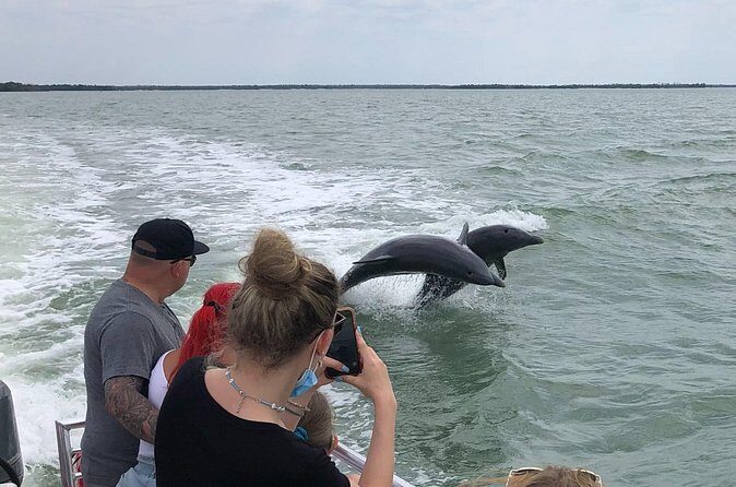 Private Dolphin, Shelling and Birding Tour - The Sum Up