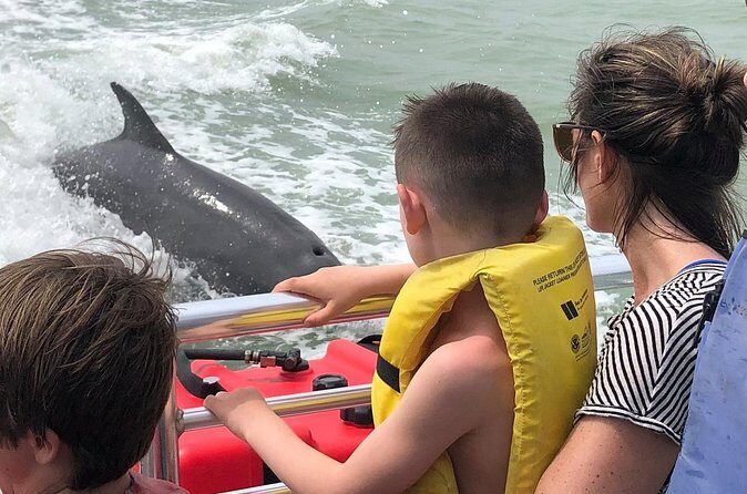 Private Dolphin, Shelling and Birding Tour - FAQs