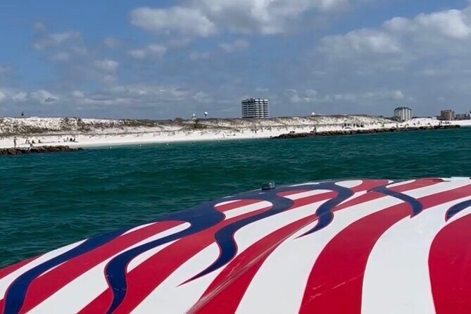 Private Dolphin Spotting Thrill Ride in Destin - The Sum Up