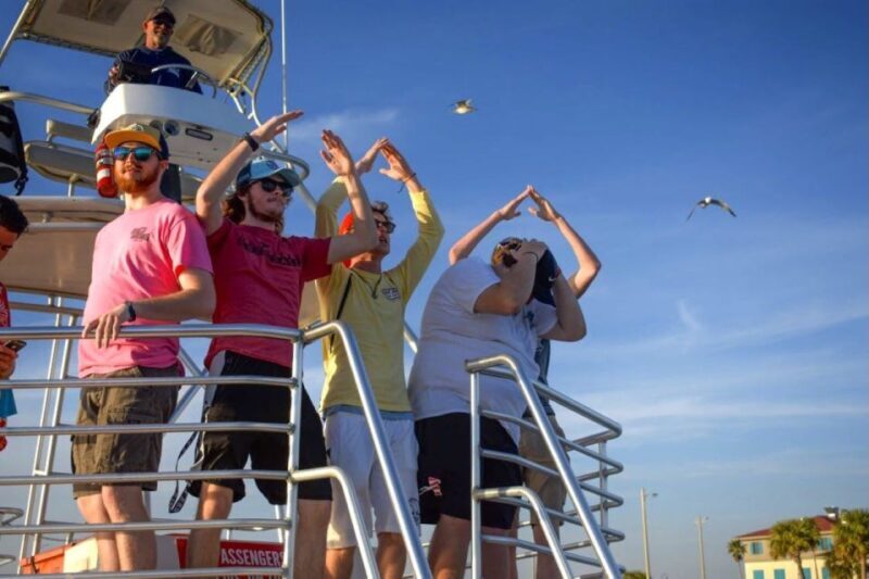 Private Dolphin Tour with Secluded Beach/Snorkel Stop - Practical Tips for Travelers