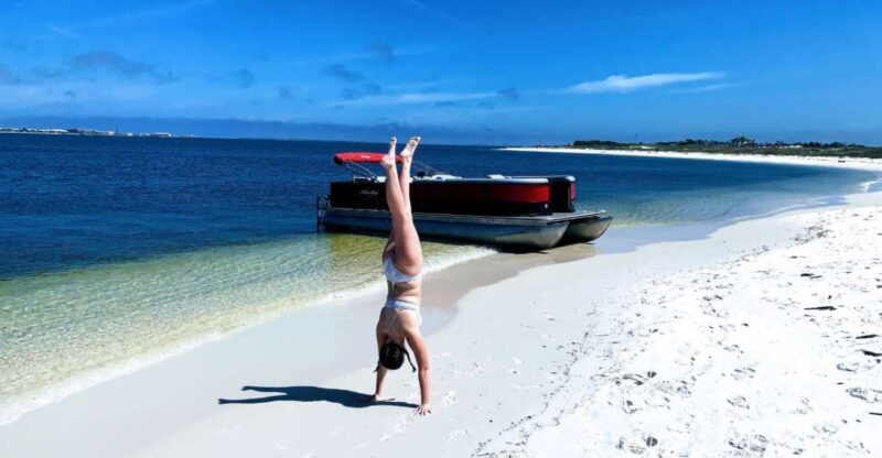 Private Dolphin Tour with Secluded Beach/Snorkel Stop - Who Should Book This Tour?