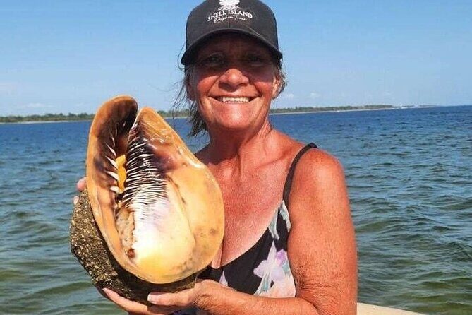 Private Dolphin Watching and Sightseeing Tour Panama city beach - Who Will Love This Tour?