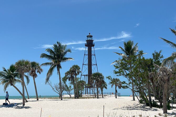 Private Dolphin Watching Beach Day Getaway - The Pricing and Its Value