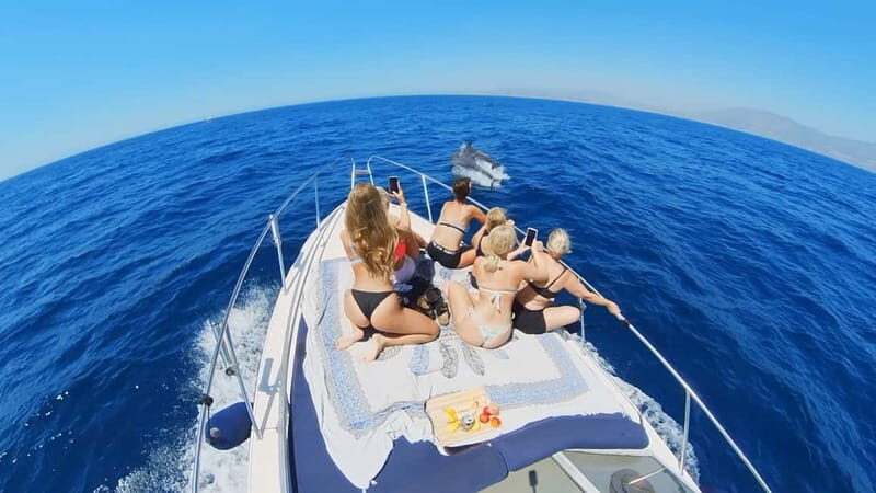 PRIVATE DOLPHIN WATCHING SUNSEEKER WITH DRINKS ON FUENGIROLA - An Up-Close Look at the Experience