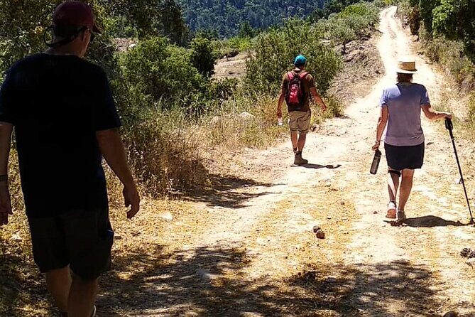 Private Douro and Porto 4x4 Tour with Wine Tasting and Boat Trip - The Real Value: Why This Tour Stands Out