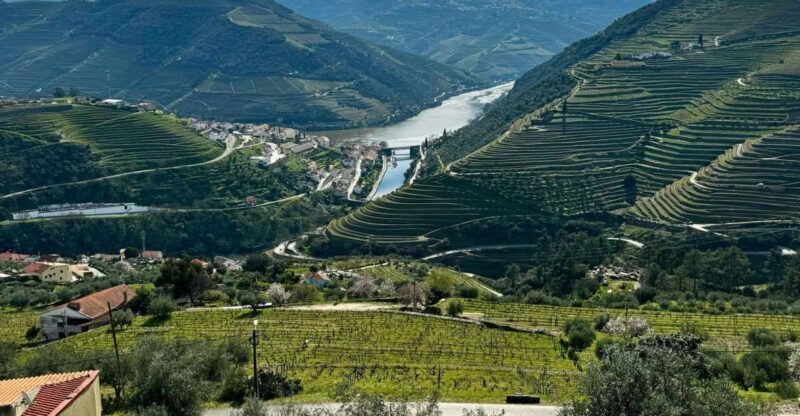 Private Douro Valley Full Day Tour - What to Expect from the Douro Valley Private Tour