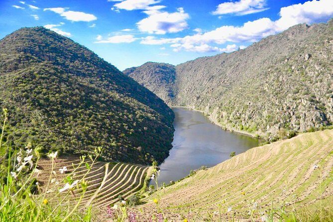 Private Douro Valley - Senses Experiences - The Sum Up