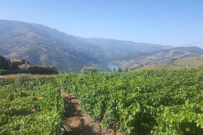 Private Douro Valley - Senses Experiences - FAQs