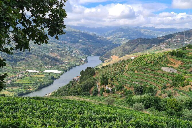 Private Douro Valley Tour (2 wineries + boat) - Why This Tour Stands Out
