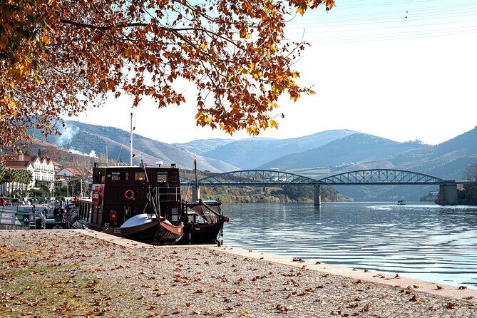 Private Douro Valley Tour: Boutique Winerie & River Cruise - Why This Tour Stands Out