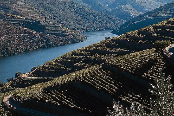 Private Douro Valley Tour Includes Wine Tasting and Boat Tour - A Deep Dive into the Douro Valley Experience