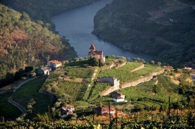 Private Douro Valley visit to three vineyards with Lunch from Porto - Key Points