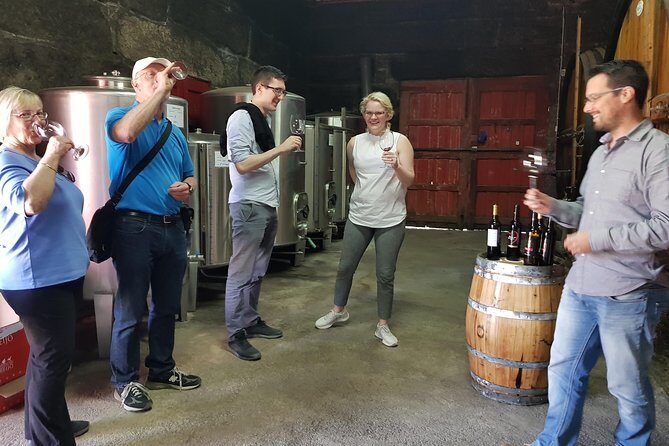 Private Douro Valley visit to three vineyards with Lunch from Porto - A Deep Dive into the Douro Valley Private Tour