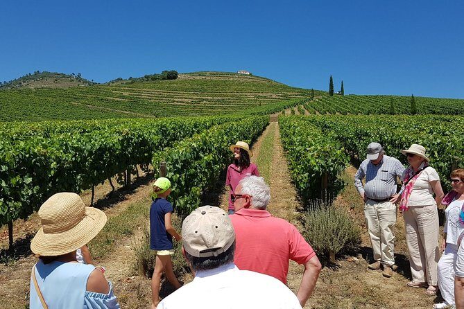 Private Douro Valley Wine Tour: 2 Wine Estates, Lunch and Cruise - Discovering the Douro Valley: A Private Wine Tour That Checks All the Boxes