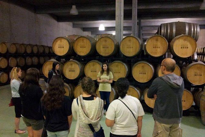 Private Douro Valley Wine Tour: 2 Wine Estates, Lunch and Cruise - Key Points